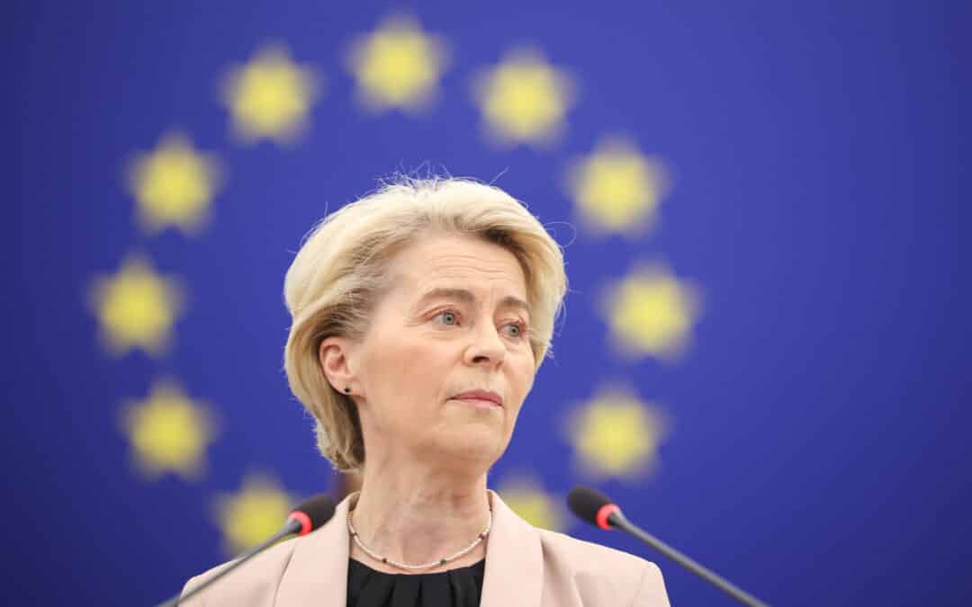 Misstrauensvotum gegen von der Leyen – Machen Sie mit!