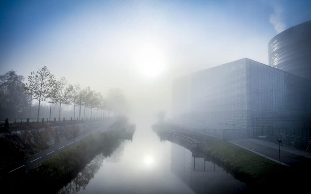 Das Manifest der Überlebenden